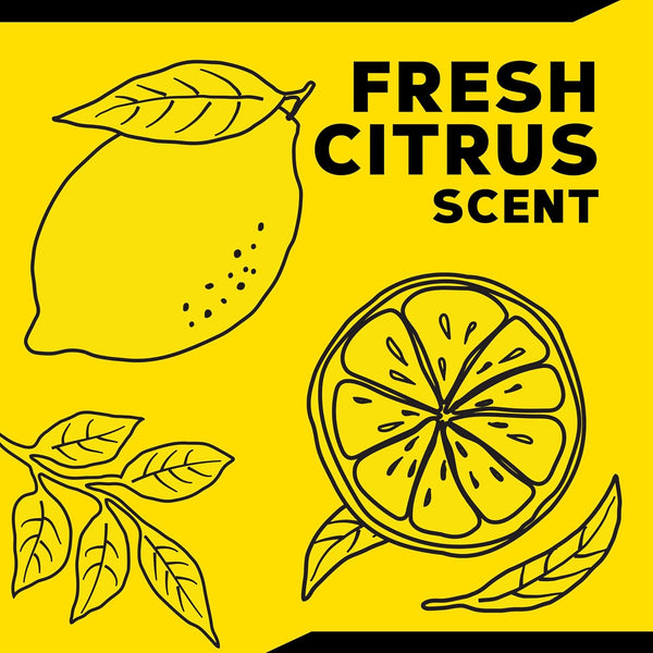 Meguiar's All Surface Interior Cleaner, Safe Multi-Surface Car Interior Spray, 16 oz