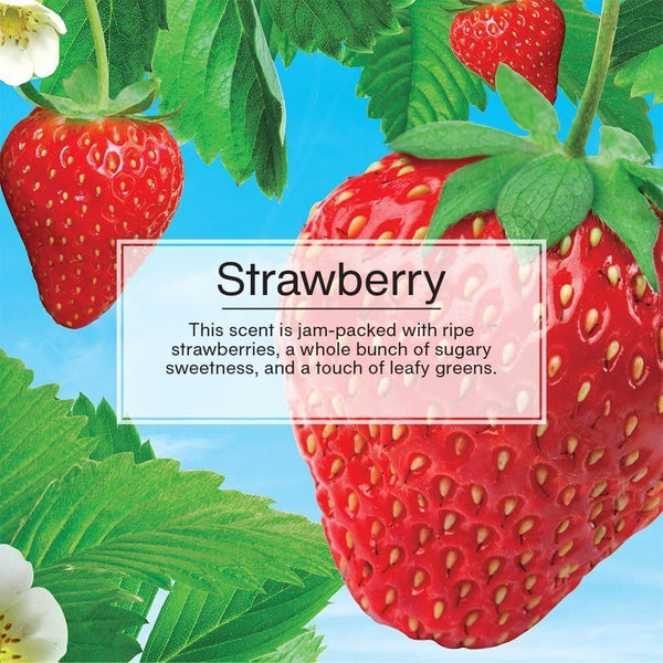 Little Trees Hanging Car Air Freshener, Strawberry, 2-Pack