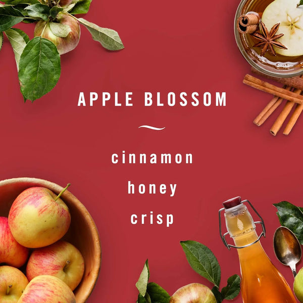 Febreze Vent Clip AUTO Car Air Freshener, Up to 40 Days, Odour Eliminator, Apple Blossom Scent, 2-CLIPS