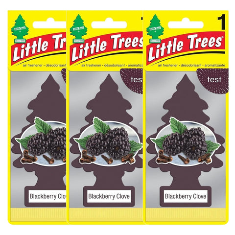 Little Trees Hanging Car and Home Air Freshener, Blackberry Clove, 3 Pack