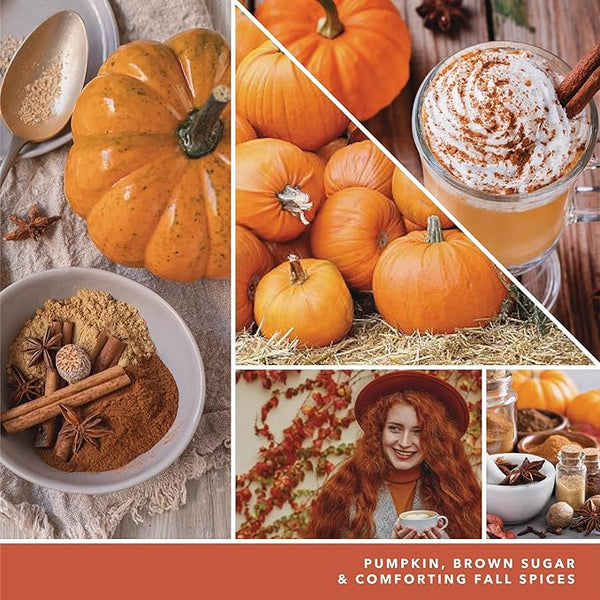 Yankee Candle Paper Car Jar, Spiced Pumpkin, 6 Packs