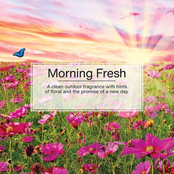 Little Trees Hanging Car Air Freshener, Morning Fresh, 2-Pack