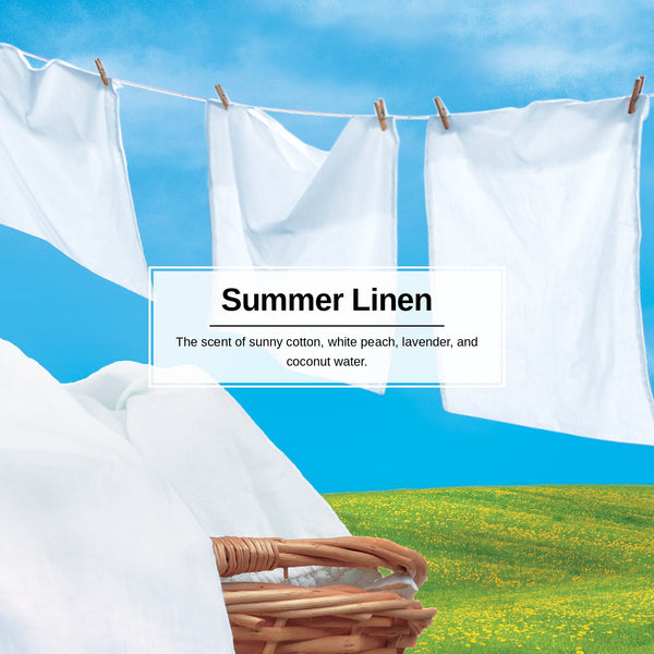 Little Trees Hanging Car Air Freshener, Summer Linen, 2-Pack