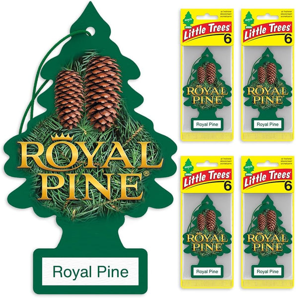 Little Trees Hanging Car and Home Air Freshener, Royal Pine Scent, 24 Pack
