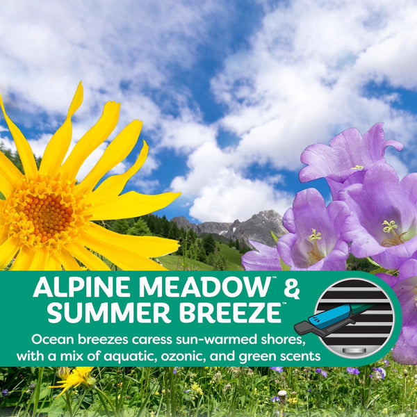 Refresh Car & Home Vent Sticks Air Freshener & Odor Eliminator, Summer Breeze/Alpine Meadow 6 Sticks