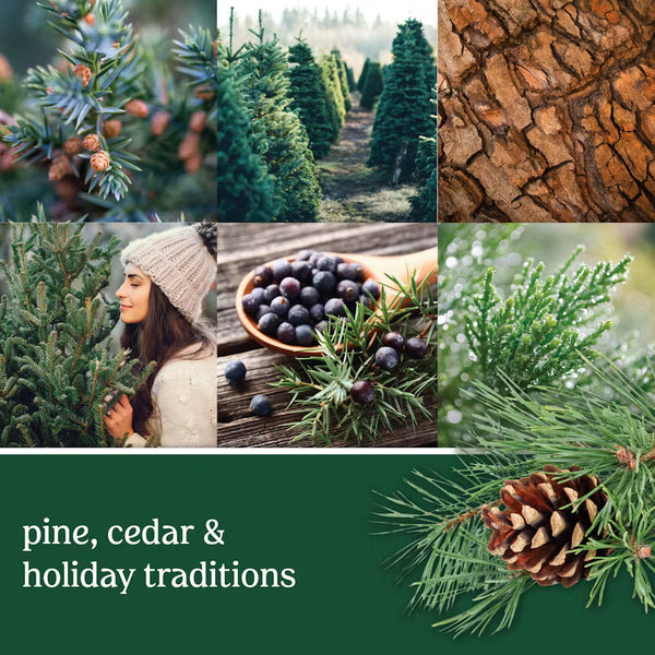 Yankee Candle Gel Car Jar Ultimate Hanging Odor Neutralizing Air Freshener Balsam Cedar Scent