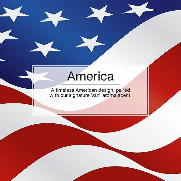 Little Trees Hanging Car and Home Air Freshener, Vanilla Pride