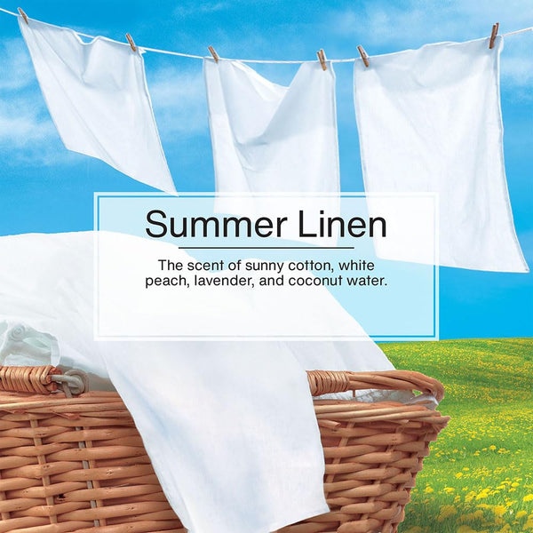 Little Trees Cardboard Hanging Car, Home & Office Air Freshener, Summer Linen (Pack of 24)