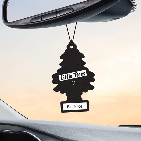 Little Trees Hanging Car and Home Air Freshener, Black Ice Scent, 24 Pack