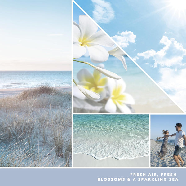 Yankee Candle Paper Car Jar Air Freshener for Long Lasting Fragrance, Ocean Air, 10 Packs