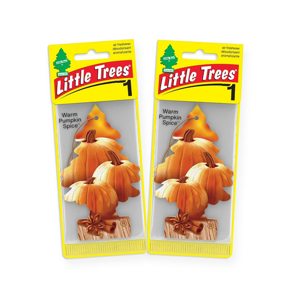 Little Trees Hanging Car Air Freshener, Warm Pumpkin Spice, 2-Pack