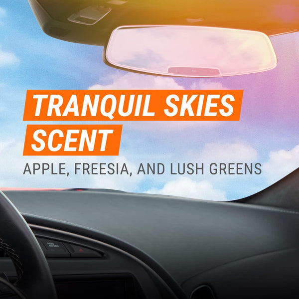 Armor All Fogger Rapid Odor