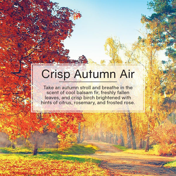 Little Trees Auto Air Freshener, Hanging Card, Crisp Autumn Air, 24 Pack