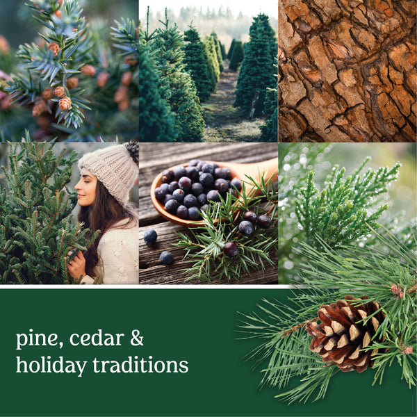 Yankee Candle Smart Car Vent Clip Air Freshener, Last up to 30 days, Balsam & Cedar