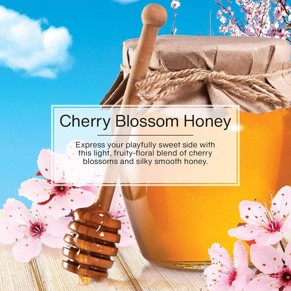 Little Trees Cardboard Hanging Car, Home & Office Air Freshener, Cherry Blossom Honey, 12 Pack