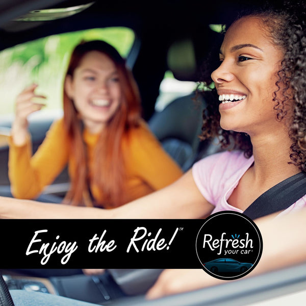 Refresh Car & Home Vent Sticks Air Freshener & Odor Eliminator, Summer Breeze/Alpine Meadow 6 Sticks