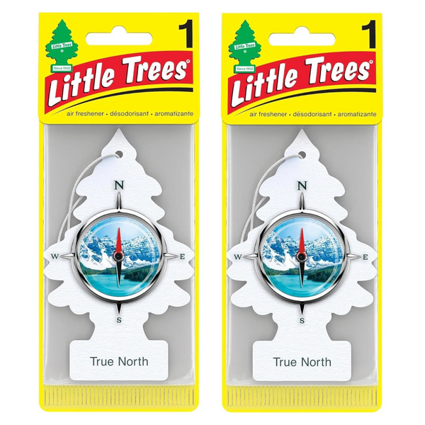 Little Trees Hanging Car Air Freshener, True North, 2-Pack