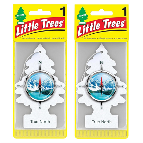 Little Trees Hanging Car Air Freshener, True North, 2-Pack
