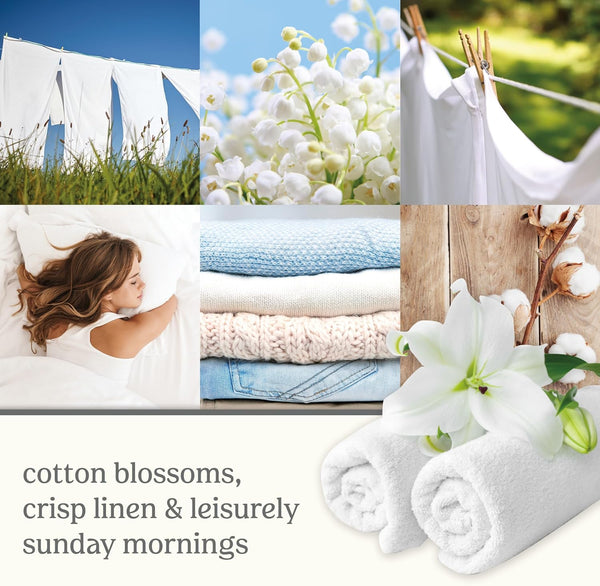 Yankee Candle Classic Car Jar Hanging Air Freshener, Clean Cotton Scent, 2 Pack