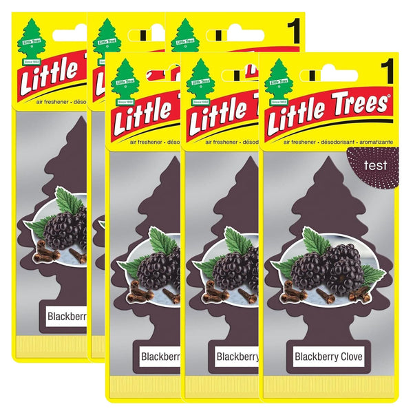 Little Trees Hanging Car and Home Air Freshener, Blackberry Clove, 6 Pack