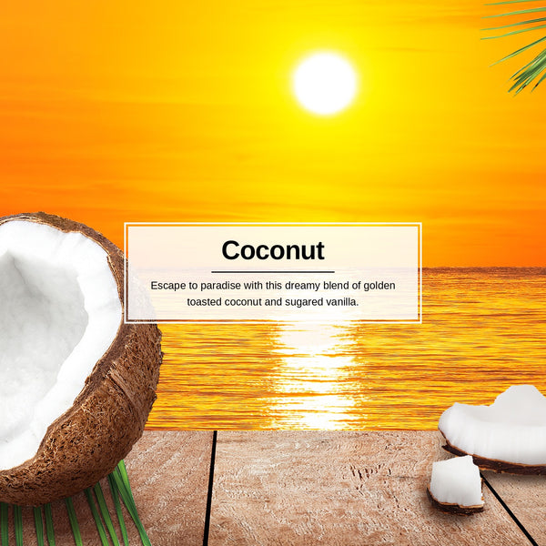 Little Trees Hanging Car Air Freshener, Coconut, 2-Pack