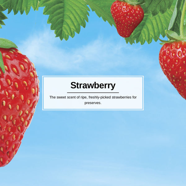 Little Trees Hanging Car Air Freshener, Strawberry, 1-Pack