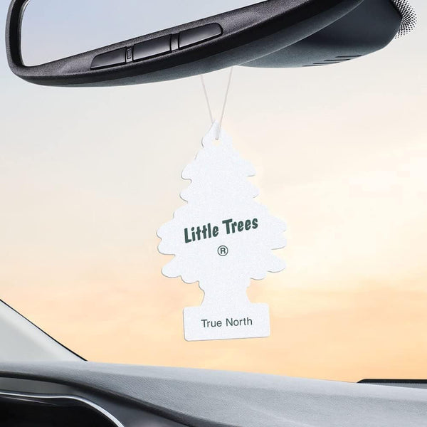 Little Trees Hanging Car Air Freshener, True North, 2-Pack