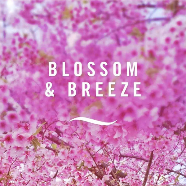 Febreze Vent Clip Car Air Freshener Blossom & Breeze Scent, Up to 30 Days, Eliminates tough lingering odours, 6 Pack