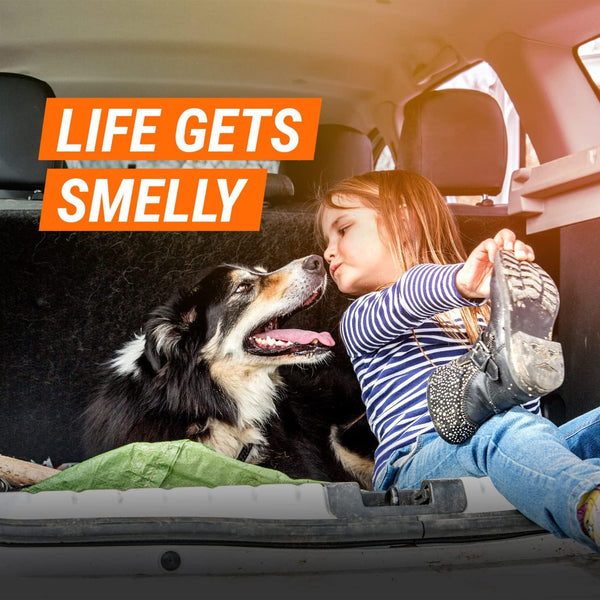 Armor All Fogger Rapid Odor