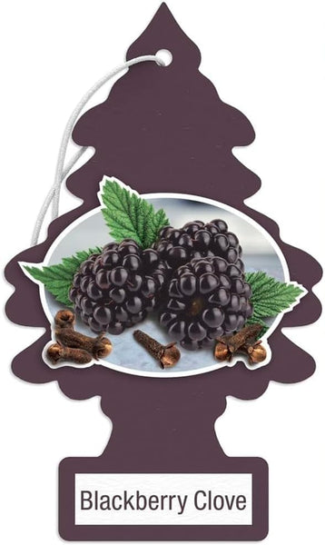 Little Trees Hanging Car and Home Air Freshener, Blackberry Clove, 12 Pack