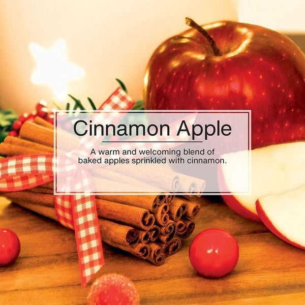 Little Trees Hanging Car Air Freshener, Cinnamon Apple, 2-Pack