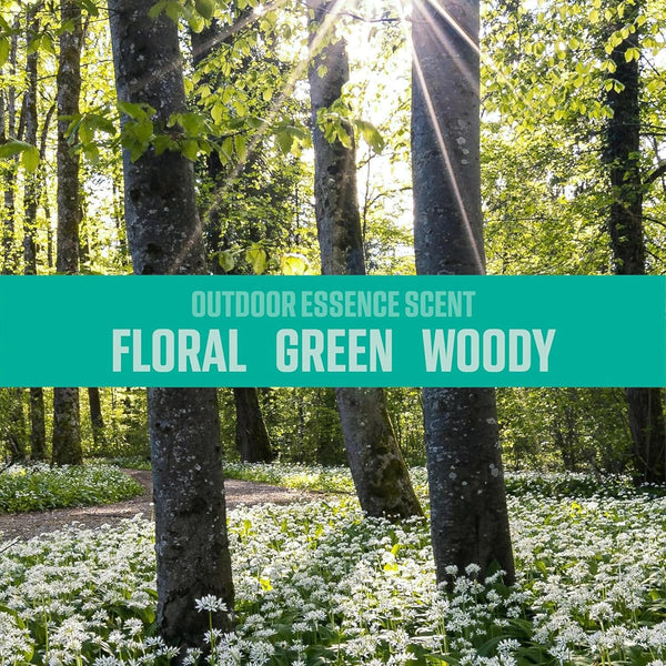 Ozium Air Sanitizer Spray - Room Odor Eliminator for Home, Car, and Office - Outdoor Essence - 8 oz Can, 2 Pack