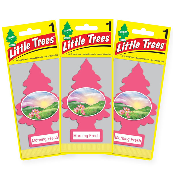 Little Trees Hanging Car Air Freshener, Morning Fresh, 3-Pack