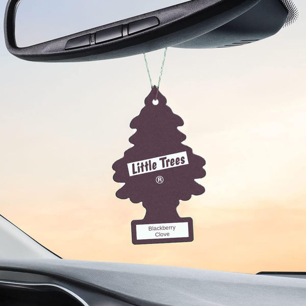 Little Trees Hanging Car Air Freshener, Blackberry Clove, 1-Pack