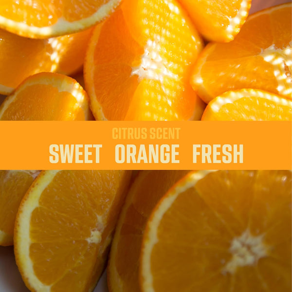 Ozium Air Sanitizer Spray - Room Odor Eliminator for Home, Car, and Office - Citrus - 8 oz Can, 6 Pack