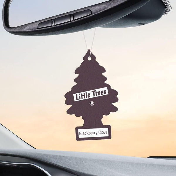 Little Trees Hanging Car Air Freshener, Blackberry Clove, 2-Pack