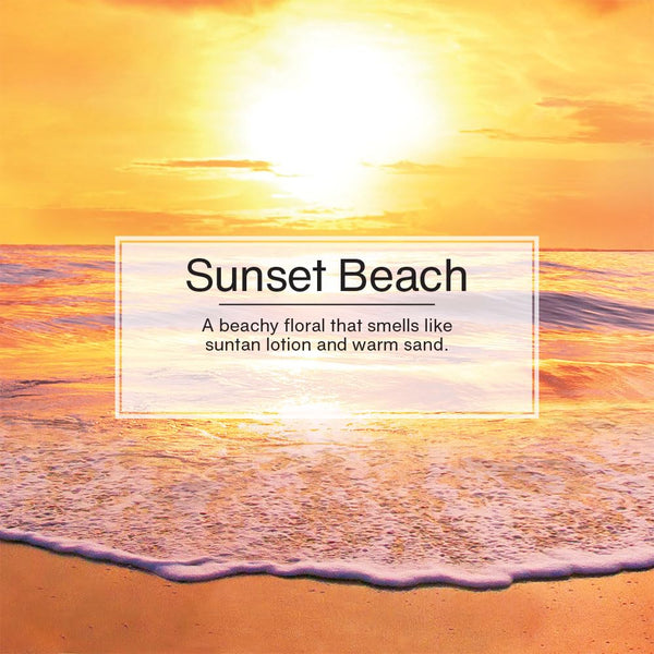 Little Trees Car Air Freshener 6-Pack (Sunset Beach)