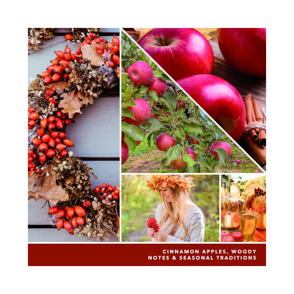 Yankee Candle Gel Car Jar Ultimate Hanging Odor Neutralizing Air Freshener, Autumn Wreath Scent, 12 Packs