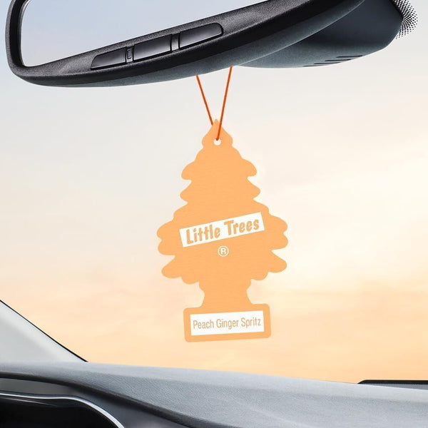 LITTLE TREES Car Air Freshener Hanging Tree Provides Long Lasting Scent for Auto & Home, Peach Ginger Spritz, 24 Pack