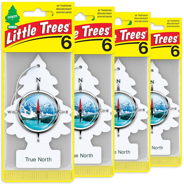 Little Trees Air Fresheners, True North (Pack of 24)
