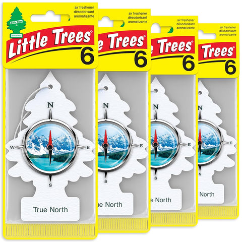Little Trees Air Fresheners, True North (Pack of 24)