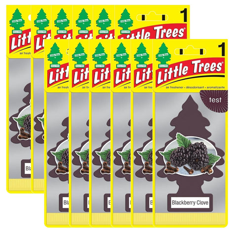 Little Trees Hanging Car and Home Air Freshener, Blackberry Clove, 12 Pack