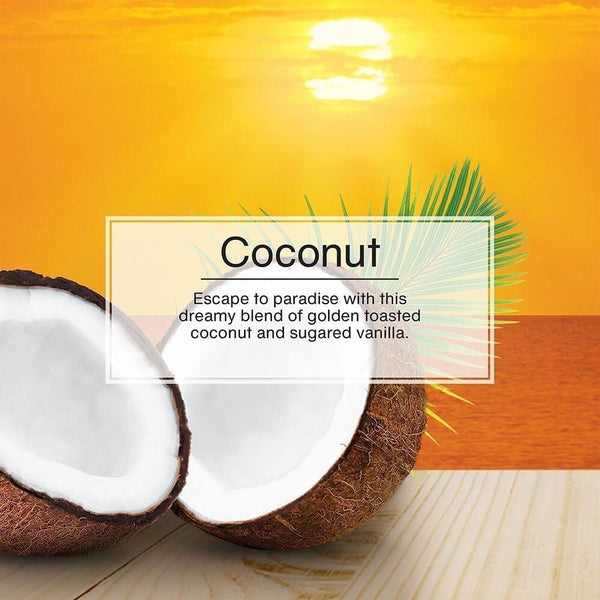 Little Trees Hanging Car and Home Air Freshener, Coconut Scent, 10 Pack