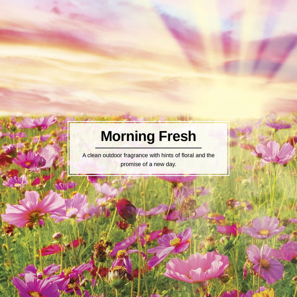 Little Trees Hanging Car Air Freshener, Morning Fresh, 2-Pack