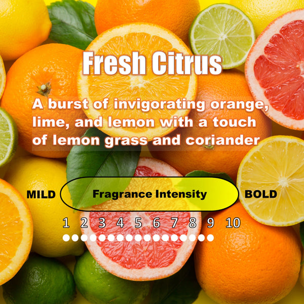 UltraScent Car Vent Clips Air Freshener Stealth Stix Car Vent Clips that Slip on Vent Blade, 1-Pack/4-Stix (Fresh Citrus)