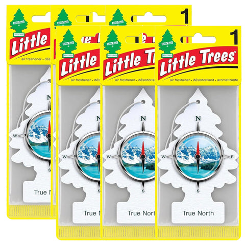 Little Trees Air Fresheners, True North (Pack of 6)