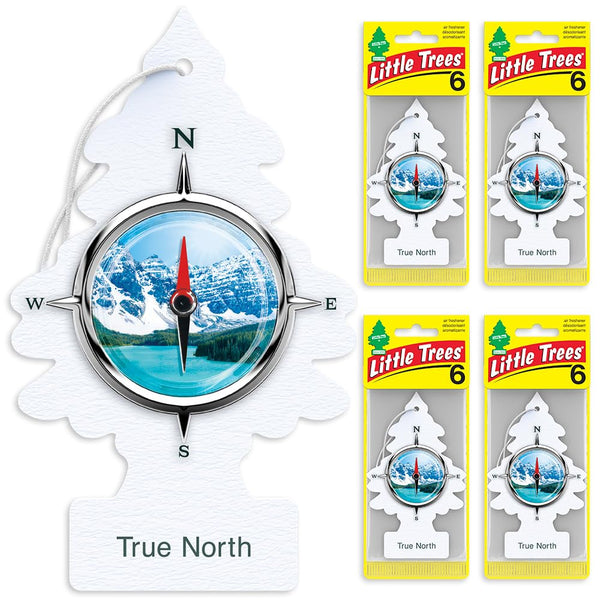 Little Trees Air Fresheners, True North (Pack of 24)