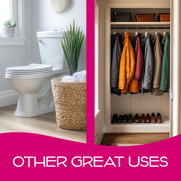 California Scents Air Freshener 4-Pack Car Air Freshener (Coronado Cherry)