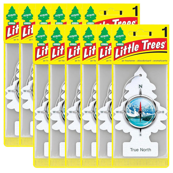 Little Trees Air Fresheners, True North (Pack of 12)