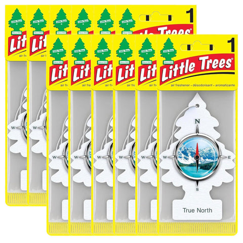 Little Trees Air Fresheners, True North (Pack of 12)